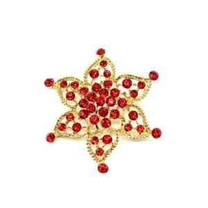 Red Star Brooch
